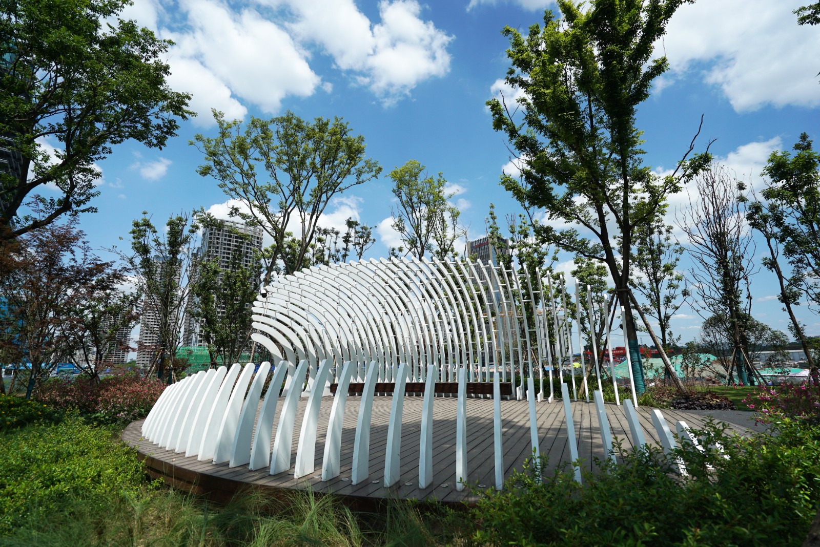 2026世界杯园林绿化维护